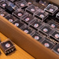 VBG 150 Vuttersdag Valkenswaard 114