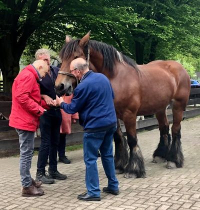 Kloostervelden - Isabel