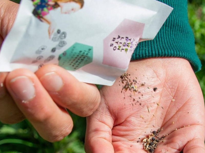 Bloemzaadjes die op een hand worden gestrooid