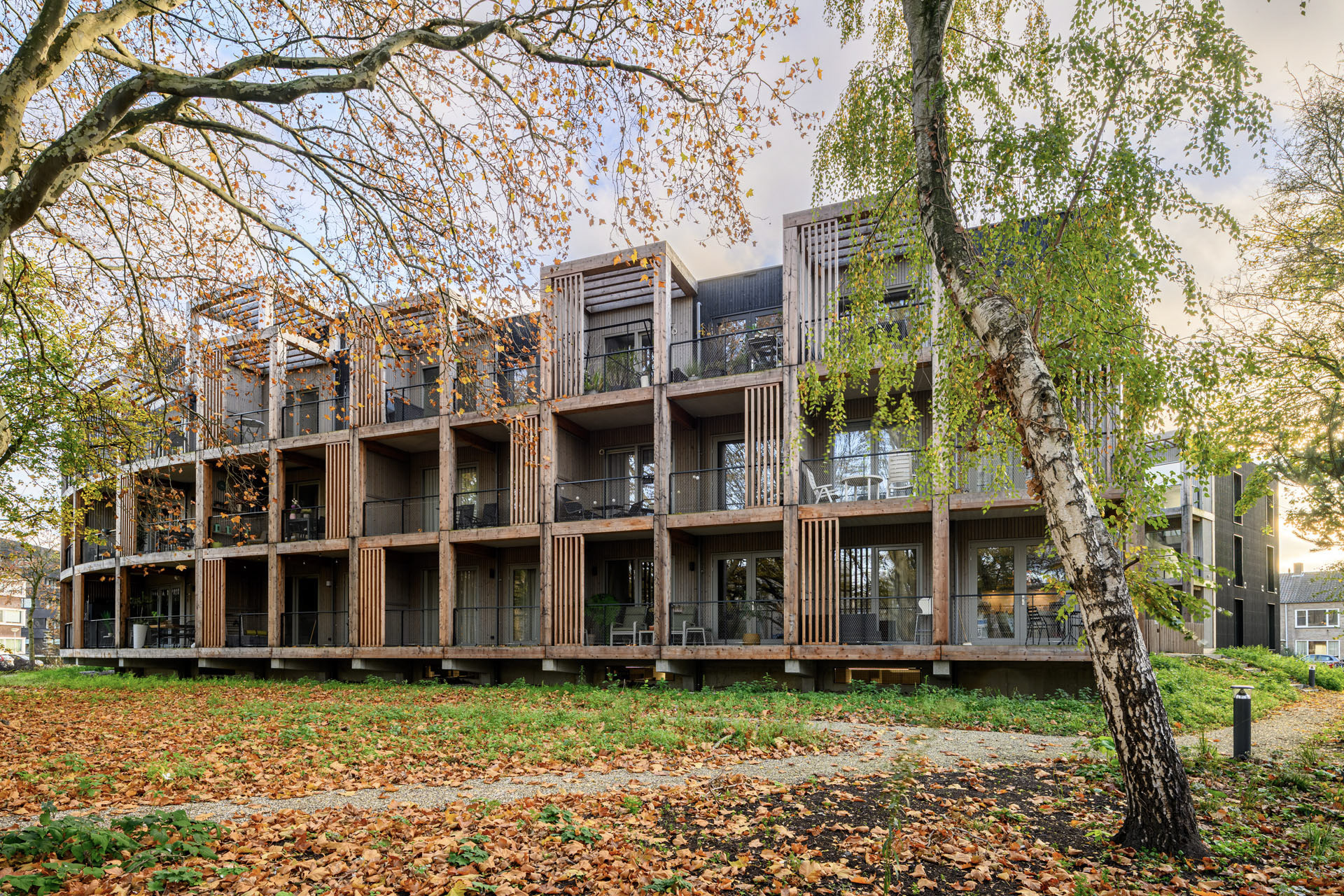 Nieuwbouw ROOT Eindhoven – duurzame houten appartementen met diepe terrassen en groene natuurlijke woonomgeving.