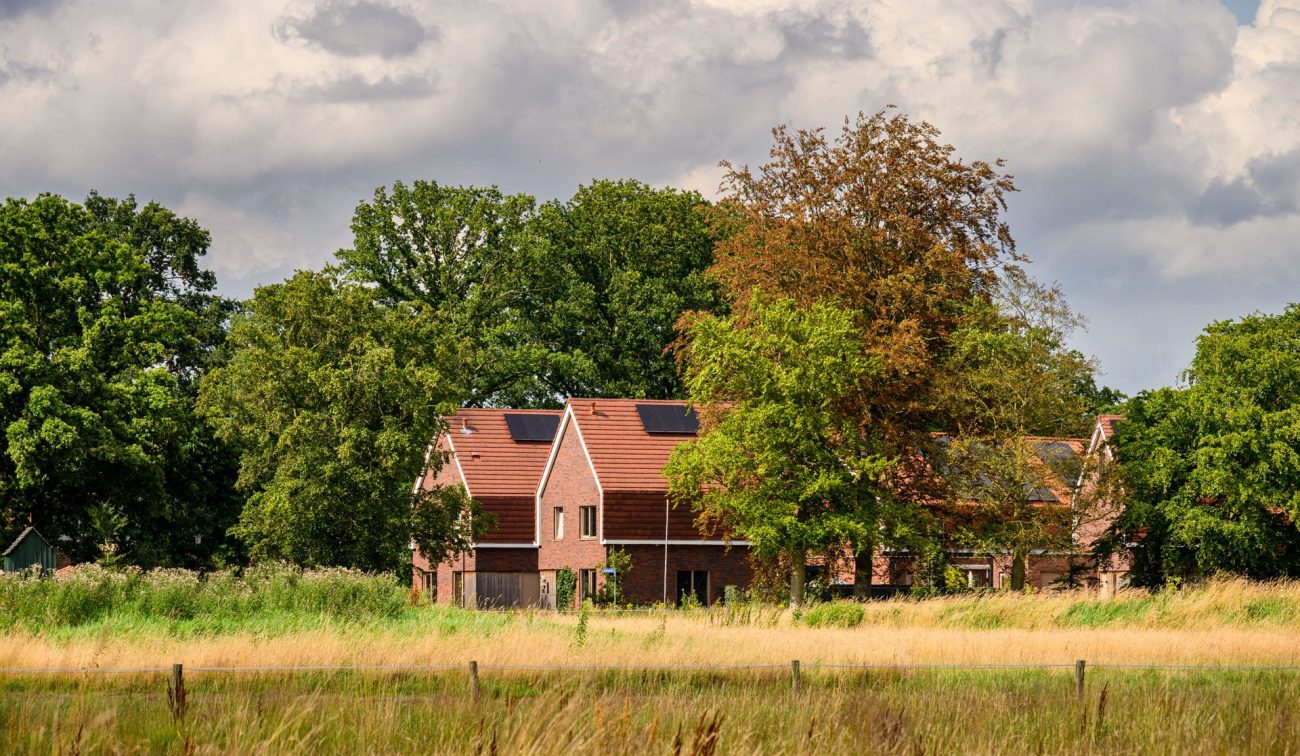 Rij landelijke bakstenen woningen met rode daken en zonnepanelen aan de bosrand, gezien over een grasveld.