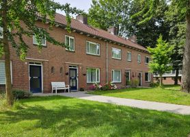 Straatbeeld van het Bernadusplein in Tilburg met groen en woningen op de voorgrond, vastgelegd tijdens het groot onderhoudsproject.