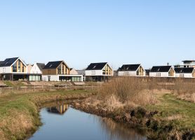 Nieuwbouwwoningen langs watergang met rietoevers in groene woonomgeving
