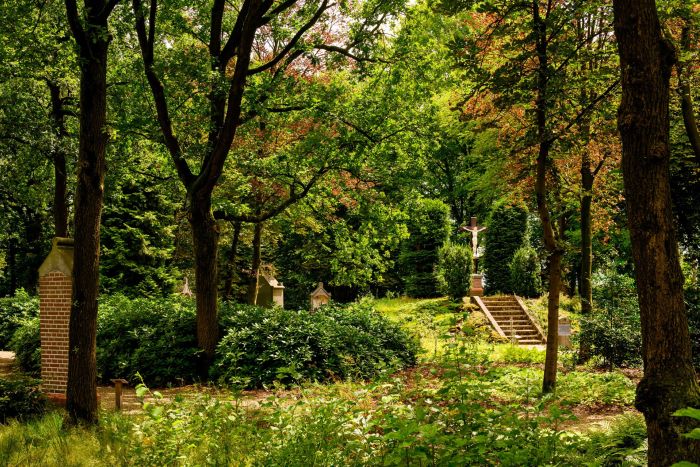 Groene kloostertuin met crucifix en trappartij in schaduwrijk bos, zomers licht