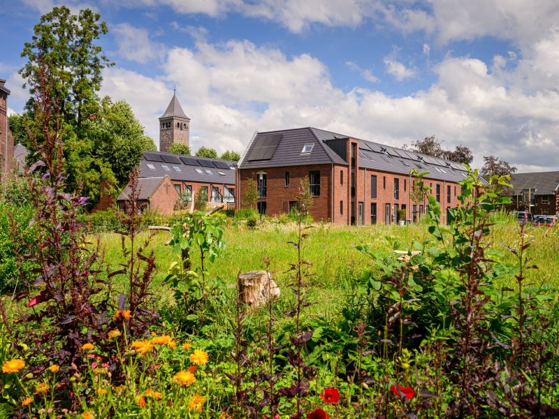 Gebiedsontwikkeling Kloostervelden in Sterksel met nieuwbouw rijwoningen in rood baksteen met zonnepanelen rond een groene, bloemrijke binnentuin en op de achtergrond een kloostertoren.