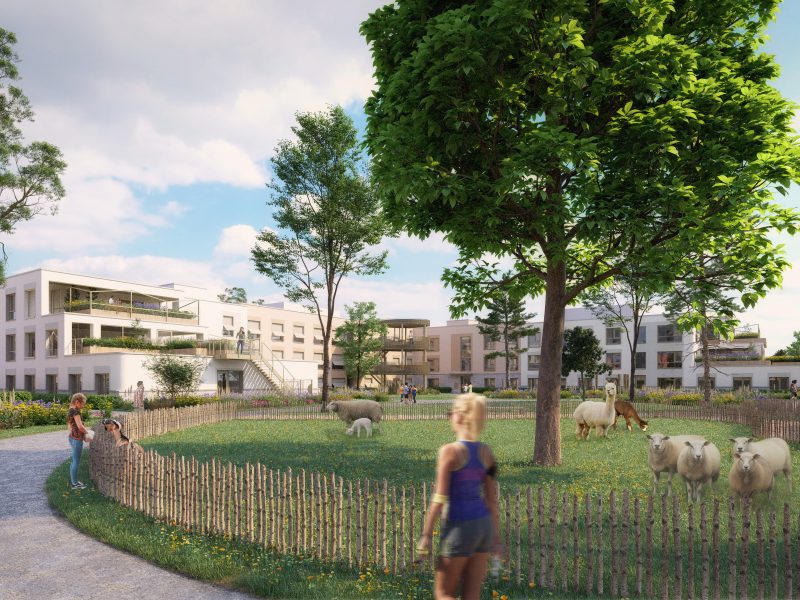 Studio Komma Herontwikkeling Mikado Horst 6 Park met dierenweide en gebouw B